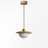 Contemporary Natural Single Pendant Lamp IA-0117-DL