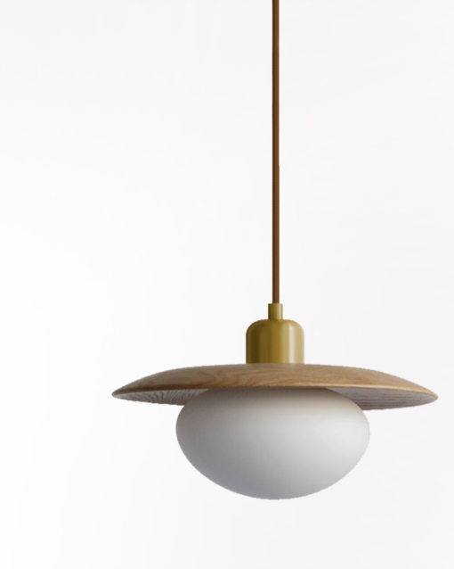 Contemporary Natural Single Pendant Lamp IA-0117-DL - Image 3