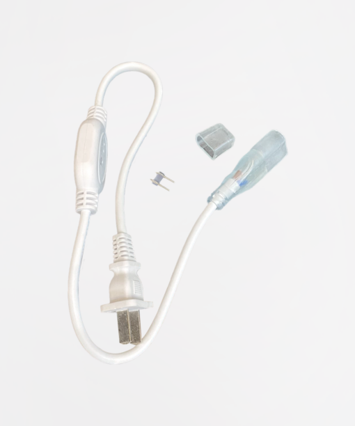 SINGLE COLOR PLUG W/ PIN & ENDCAP