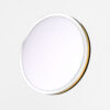 450MM LED CEILING LAMP SET
