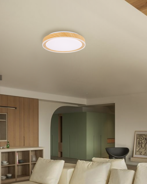 LED ROUND CEILING LAMP SET - Image 5