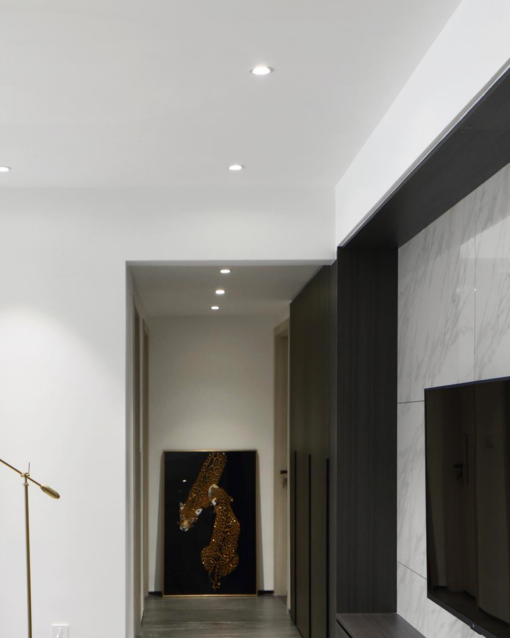 High Power - Directional (Recessed) - Image 2