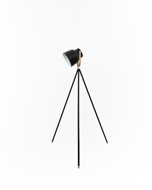 Contemporary Metal Floor Lamp IA-9469-F